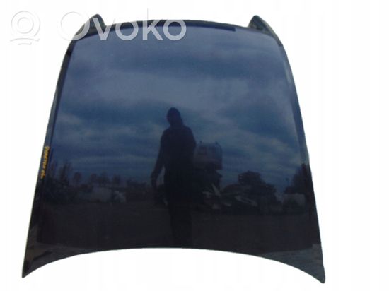 Volkswagen Phaeton Engine bonnet/hood