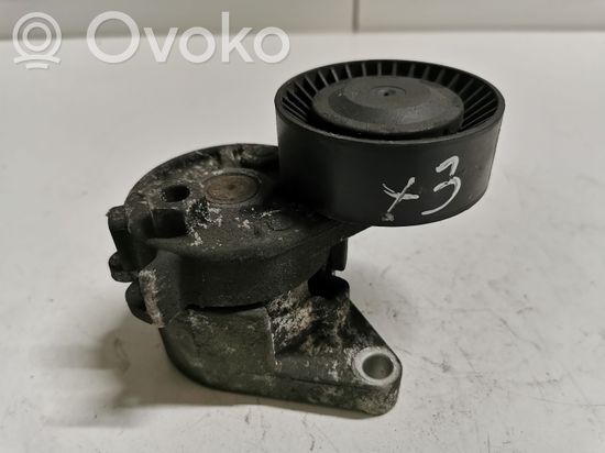 BMW X3 E83 Generator/alternator belt tensioner