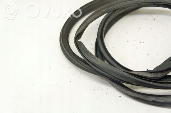 Audi Q7 4L Front door rubber seal