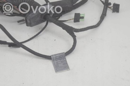 BMW 7 F01 F02 F03 F04 Front door wiring loom