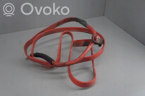 BMW 7 F01 F02 F03 F04 Positive cable (battery)