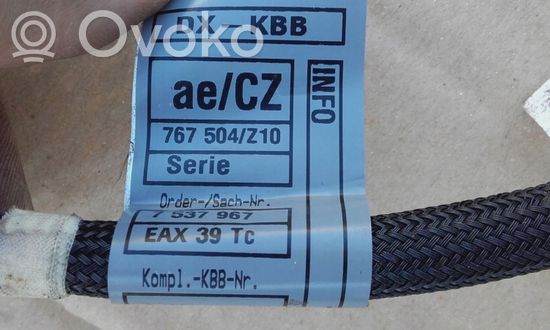 BMW 5 E60 E61 Other wiring loom 767504Z10