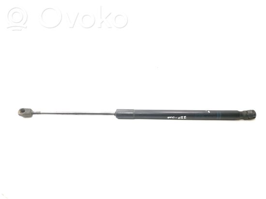 Audi A6 Allroad C6 Tailgate/trunk strut/damper 4F9827552B