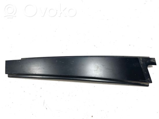 BMW 5 E60 E61 Other rear door trim element