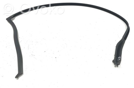 BMW 5 E60 E61 Rubber seal rear door P1300F P1300F