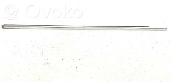BMW 5 E60 E61 Front door glass trim molding