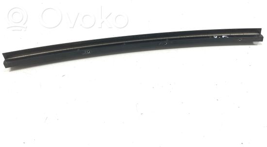 BMW 5 E60 E61 Rear door windshield rail