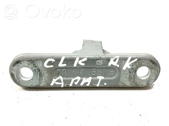 Mercedes-Benz CLK A209 C209 Front door lower hinge
