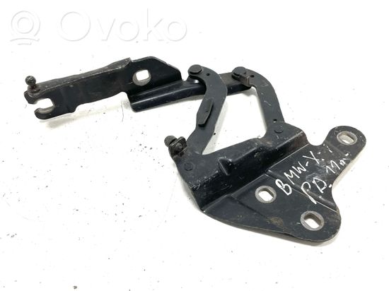 BMW X1 E84 Engine bonnet/hood hinges 2990360 2990360 ES03