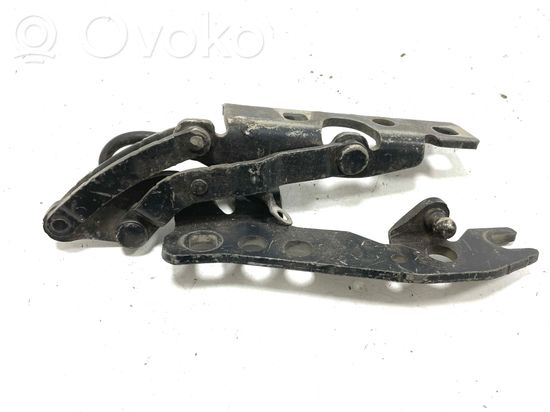 BMW X6 E71 E72 Engine bonnet/hood hinges 7064160 7064160 ES03
