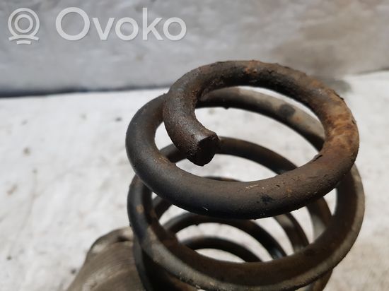 Volkswagen New Beetle Rear coil spring