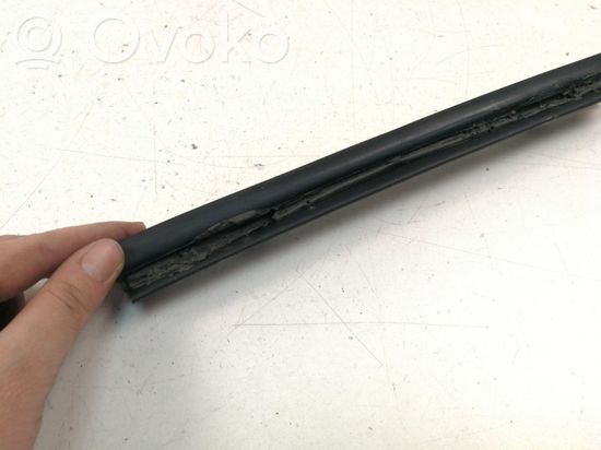 BMW 7 E65 E66 Rubber seal rear door window/glass 7004533