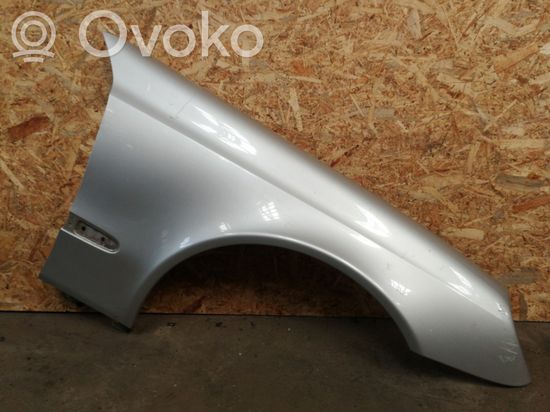 Mercedes-Benz E W211 Fender