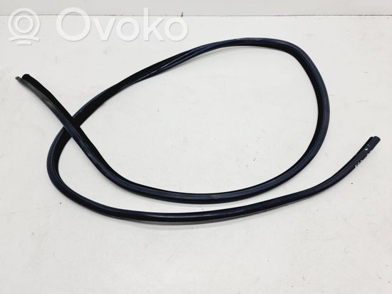 BMW 5 E60 E61 Rear door rubber seal (on body)