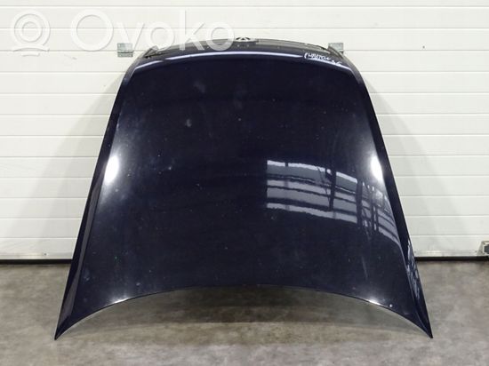Volkswagen Phaeton Engine bonnet/hood