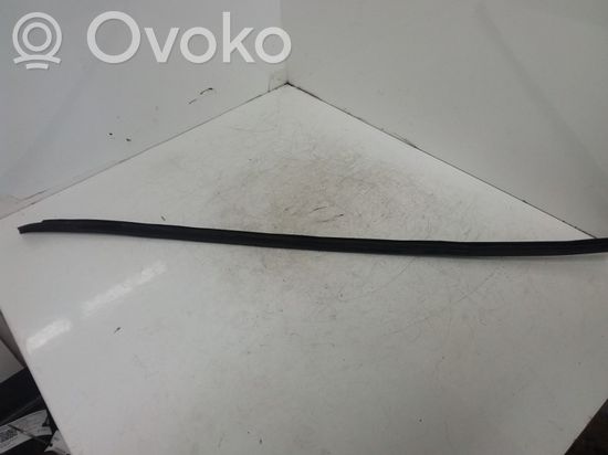 Volkswagen PASSAT B6 Windshield trim