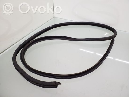 BMW 3 E46 Front door rubber seal 8194681