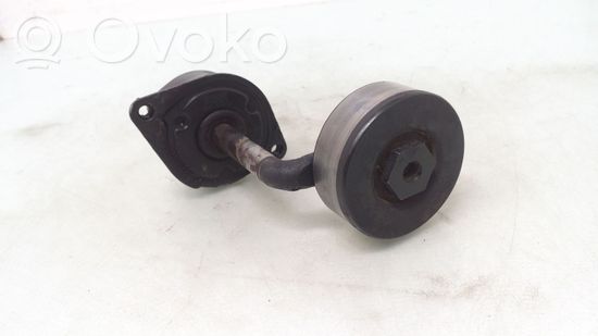 BMW 5 E39 Generator/alternator belt tensioner 2354130 2247713