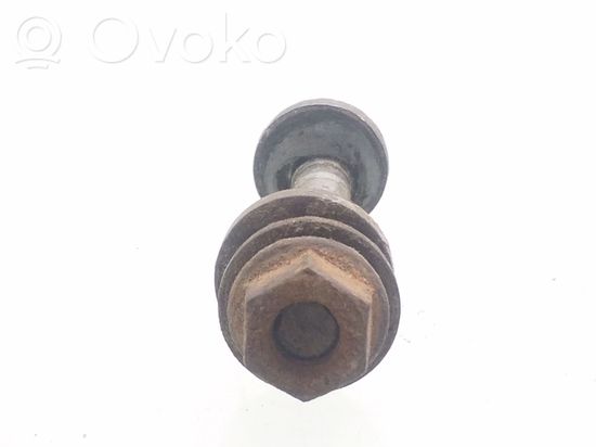 BMW 5 E39 Rear suspension camber bolt