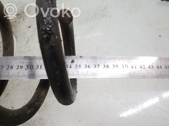Volkswagen PASSAT B6 Rear coil spring