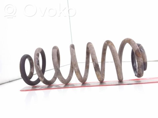 Volkswagen PASSAT B6 Rear coil spring