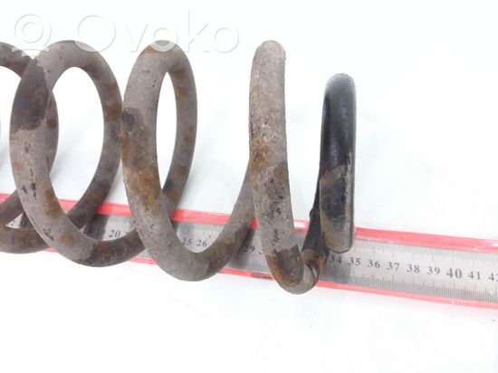 Volkswagen PASSAT B6 Rear coil spring