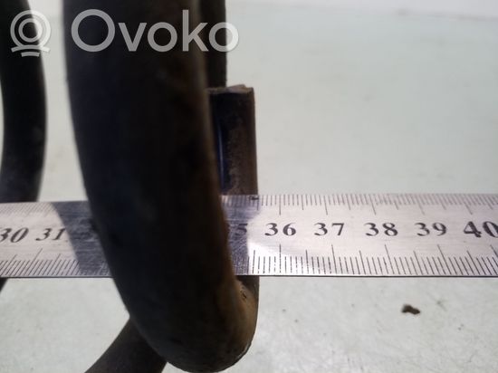 Volkswagen PASSAT B6 Rear coil spring