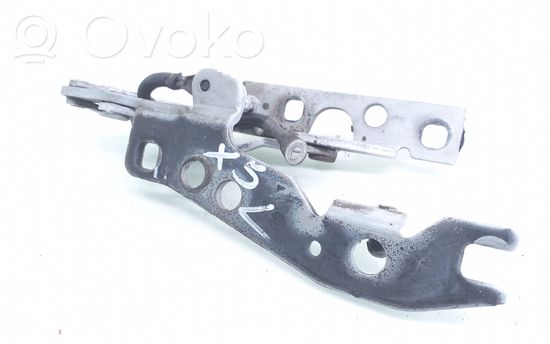 BMW X5 E53 Engine bonnet/hood hinges 41618402173 8402173