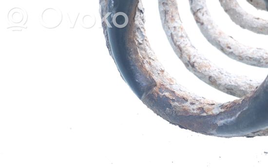 Volkswagen Sharan Rear coil spring