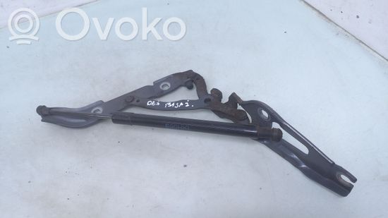 BMW 3 E90 E91 Tailgate/trunk/boot hinge 7060628 51247250308
