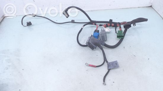 BMW 3 E90 E91 Other wiring loom 7802170