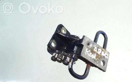 Audi A4 S4 B6 8E 8H Front door lower hinge