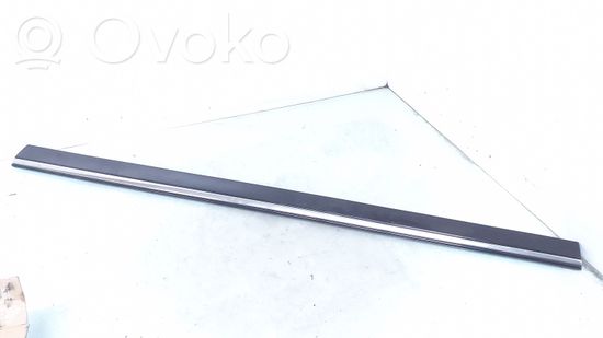 Mercedes-Benz E W211 Front door trim (molding) A2116901962