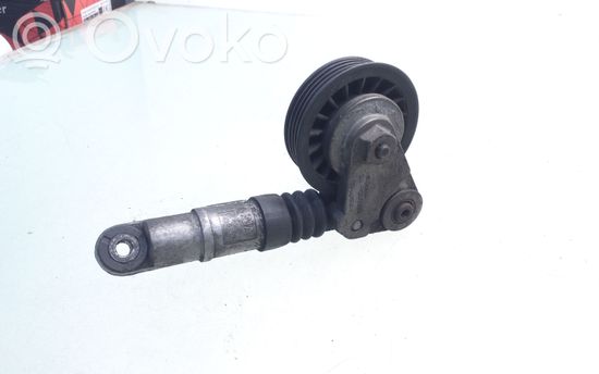 Audi A4 S4 B6 8E 8H Generator/alternator belt tensioner 23470909