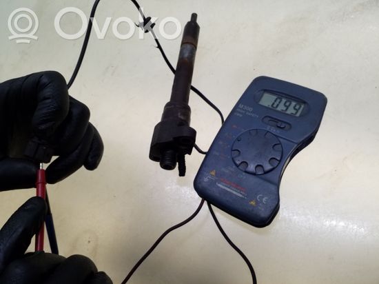 BMW 3 E46 Fuel injector 0432191527