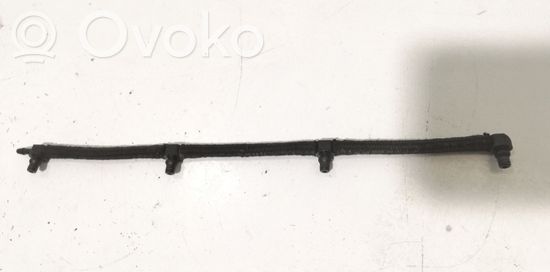 BMW 3 E46 Fuel injector supply line/pipe