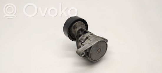 BMW 3 E46 Generator/alternator belt tensioner 230206