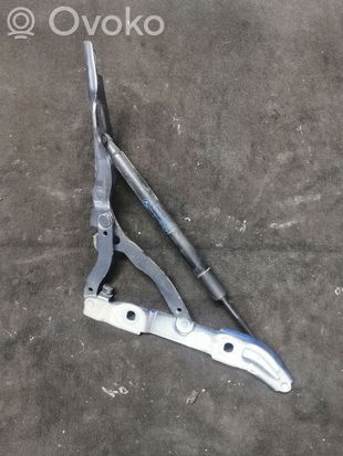 BMW 3 E92 E93 Tailgate/trunk/boot hinge 7060627