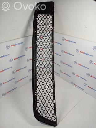 BMW X5 E70 Front bumper lower grill 51117222856