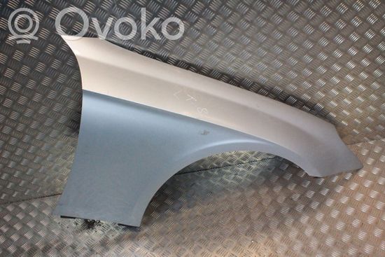 Mercedes-Benz CLS C219 Fender