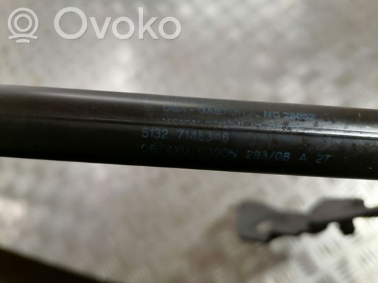 BMW X5 E70 Engine bonnet/hood hinges 7148346
