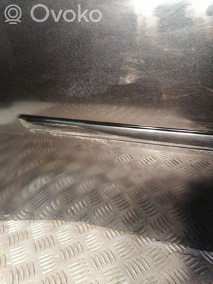 BMW X5 E70 Rear door