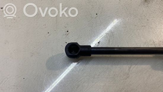 BMW X5 E70 Front bonnet/hood damper/strut 6980060