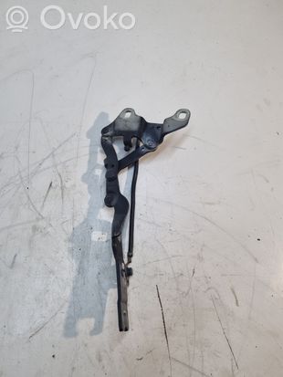 BMW 3 E92 E93 Engine bonnet/hood hinges