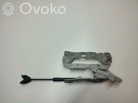 BMW 7 F01 F02 F03 F04 Engine bonnet/hood hinges 7184190