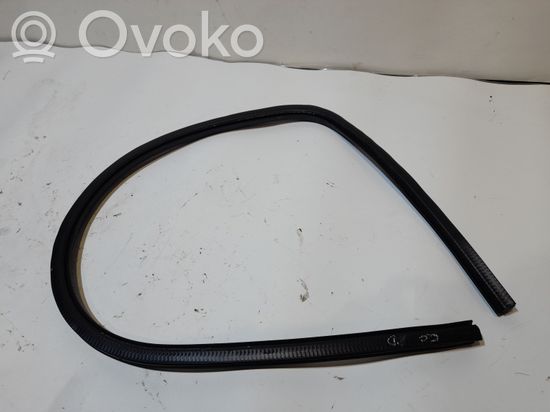 Volkswagen PASSAT CC Front door rubber seal 3C8867911