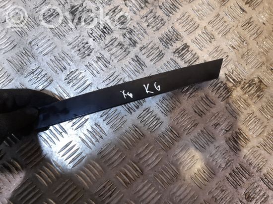 BMW X6 E71 E72 Other rear door trim element NERA