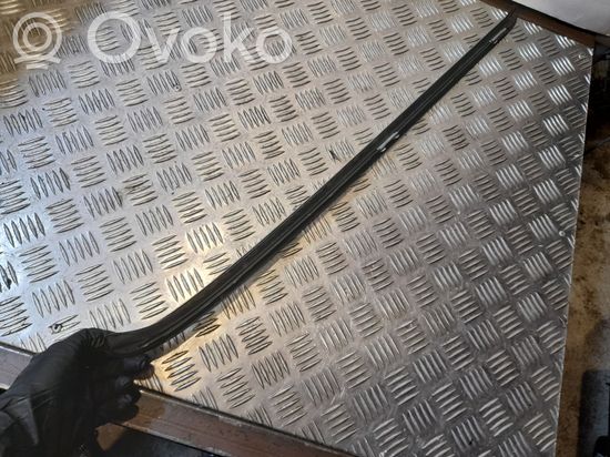 BMW X5 E70 Windshield trim NERA