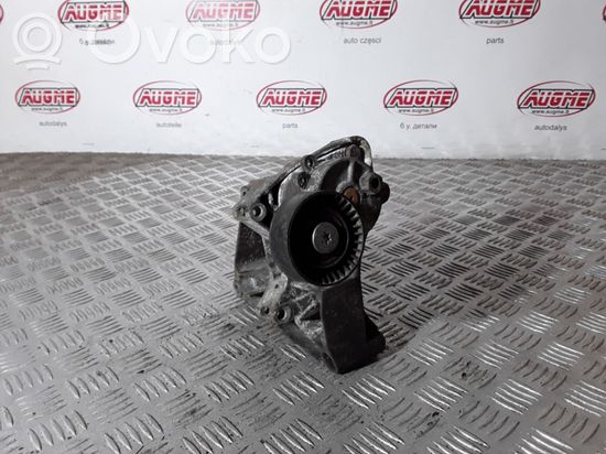 BMW 3 E46 Alternator belt tensioner F260032