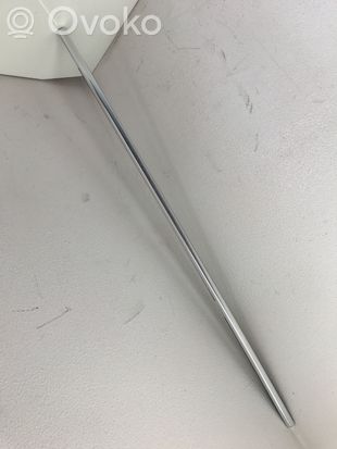 BMW 5 E60 E61 Rear door glass trim molding